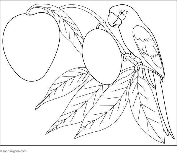 Coloring scene featuring a ripe mango with a colorful parrot perched nearby, set in a tropical environment suitable for children.
