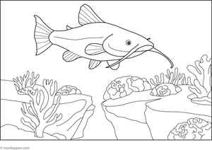 Simple catfish colouring page showing a smiling catfish with whiskers, perfect for kids to learn about river animals.