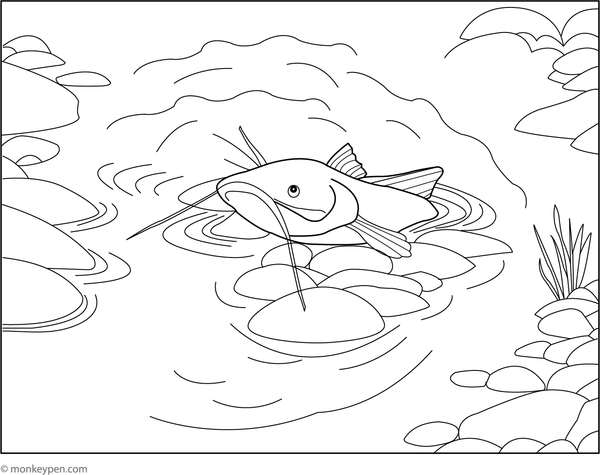 Coloring page showing a catfish concealed among colorful riverbed rocks, designed for children’s underwater scenes.