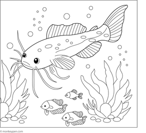 Coloring page showing a catfish swimming alongside a school of small fish in an active underwater scene.