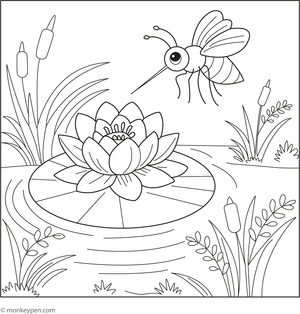 Children's coloring page of a mosquito resting on a large water lily floating on a pond.