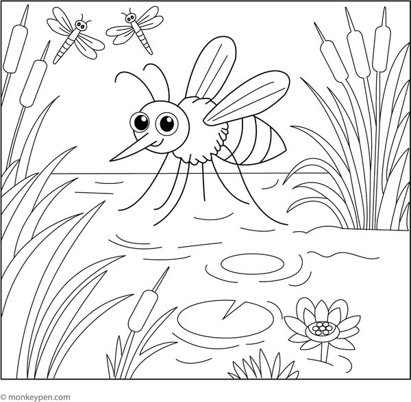 Printable coloring page of a mosquito flying over a wetland with reeds and frogs for children.  
