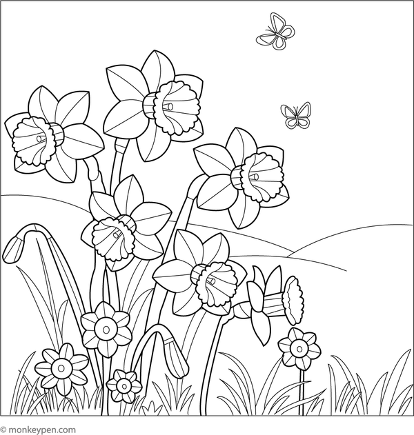 Free printable daffodils in a sunny meadow coloring page for children