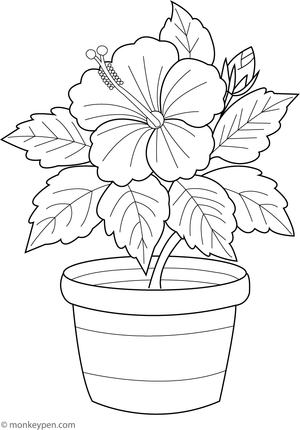 Coloring page of a hibiscus plant growing in a decorative pot, designed for children.
