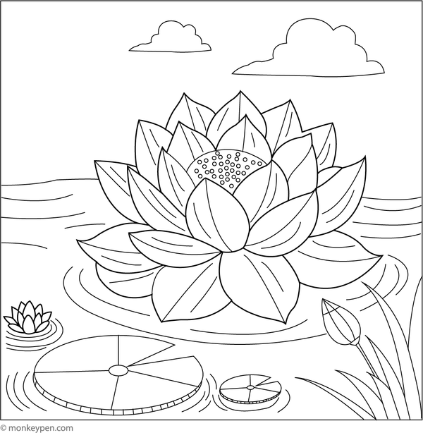 Coloring page of a lotus flower blooming gently on a tranquil pond, designed for children.
