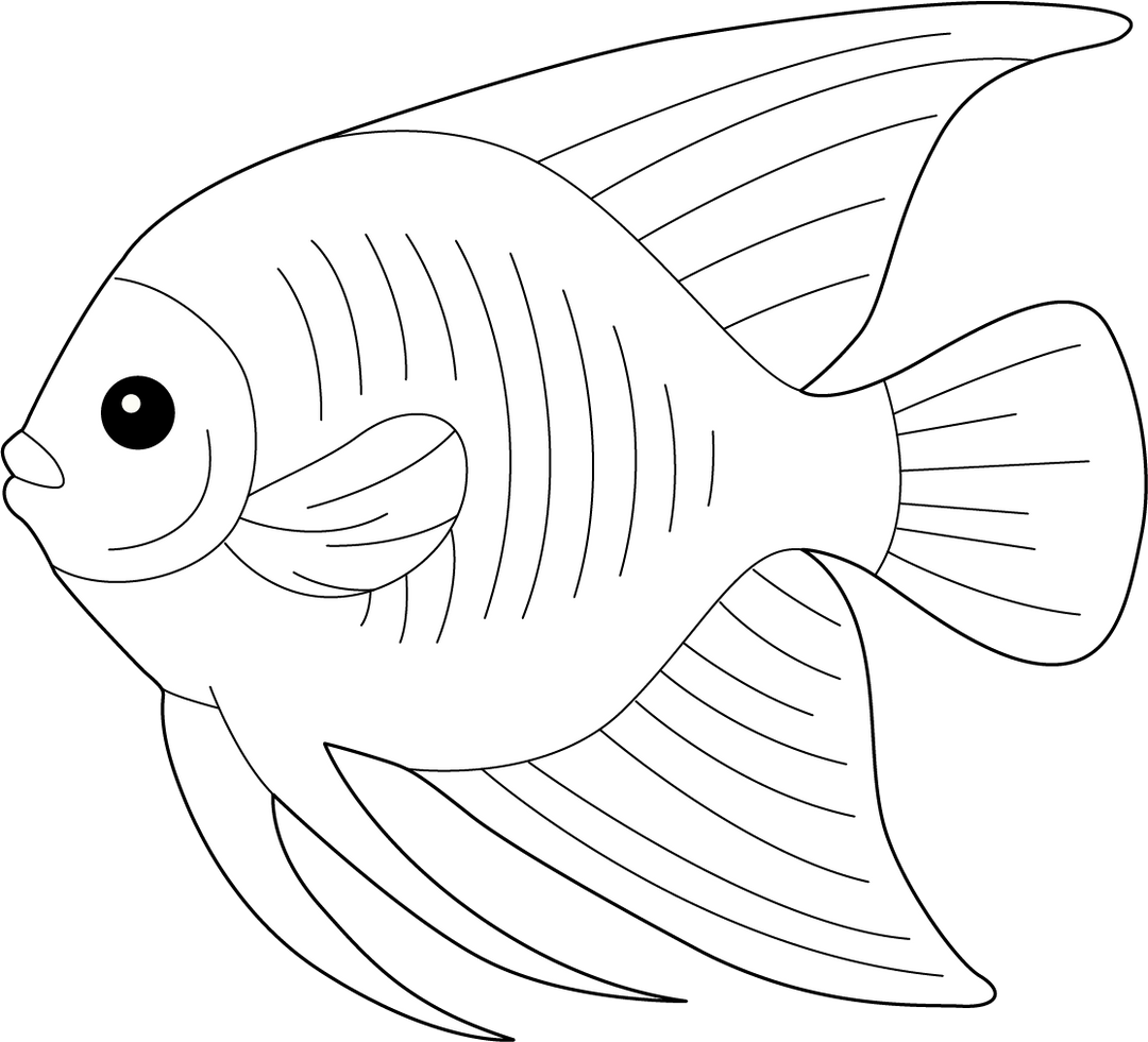 Angol Fish Free Printable Angel Fish Coloring Page for Kids