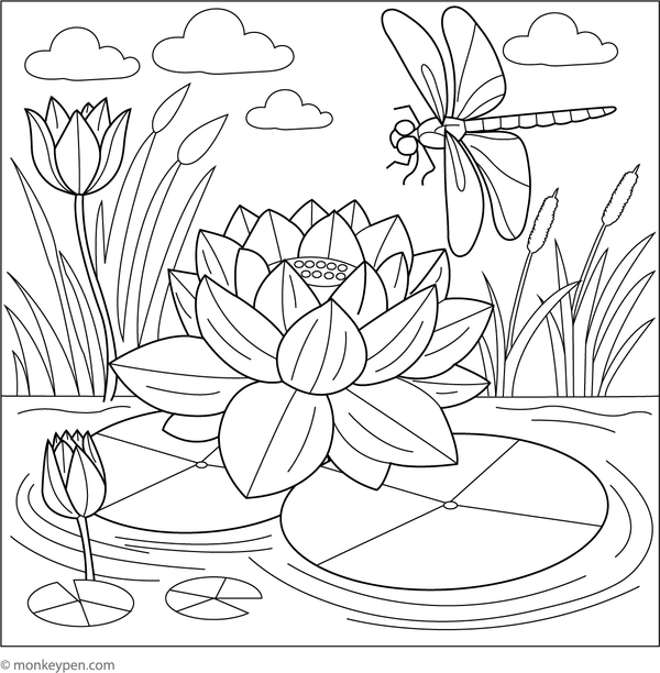 Coloring page featuring a lotus flower with a dragonfly hovering above the petals.
