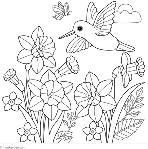 Printable coloring page of daffodils with a hummingbird hovering over the flowers.  

