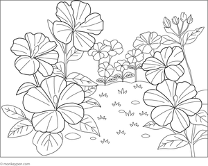Printable coloring page of a small garden filled with tropical hibiscus flowers.

