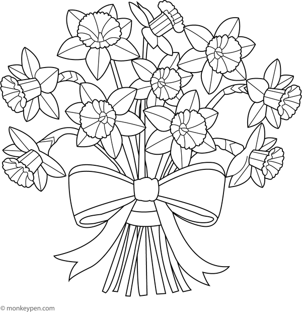 Coloring page of a daffodil bouquet tied with a decorative bow, suitable for children.  
