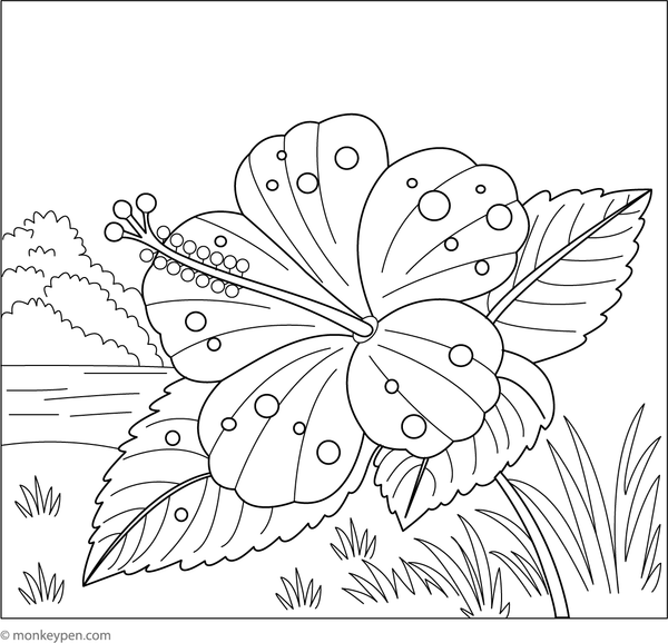 Printable coloring page of a hibiscus flower with tiny raindrops on its petals.
