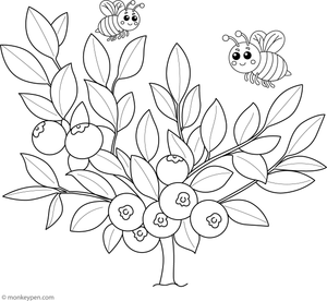 Coloring page showing a blueberry with a buzzing bee for children.