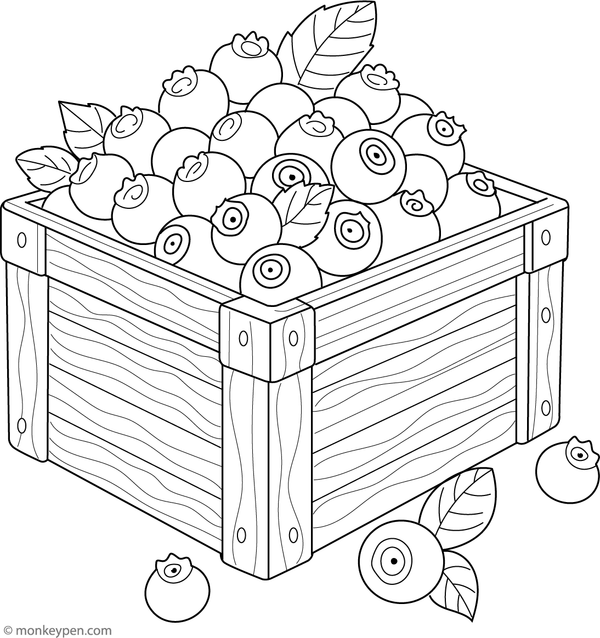 Coloring page of blueberries stacked in a rustic wooden crate for children.