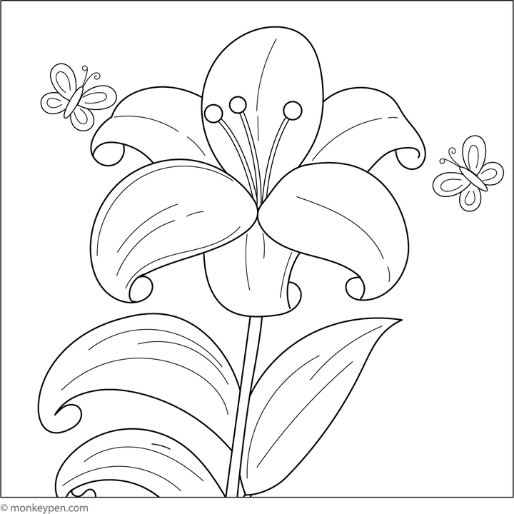 Lily Flower Coloring Page | Free Printable PDF