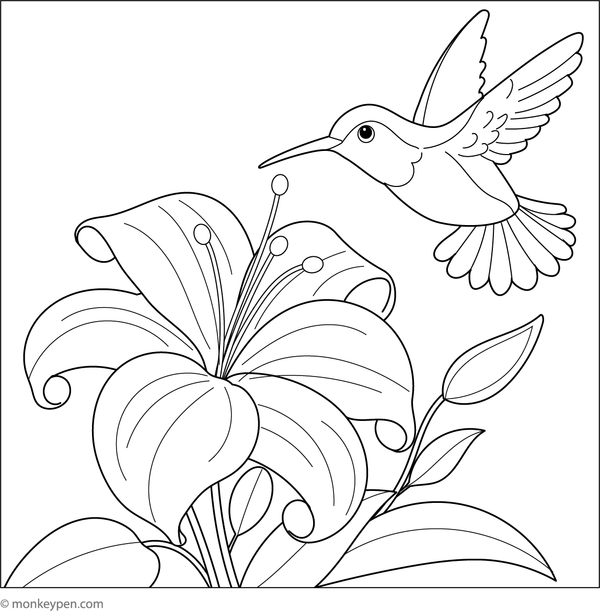 Printable coloring page of a hummingbird feeding from a bright lily, suitable for children to explore flowers and birds through coloring.  
