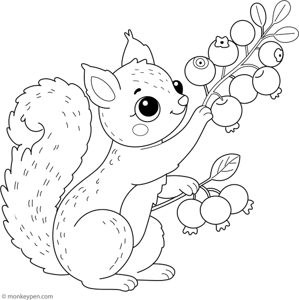 Coloring page of a curious squirrel examining a blueberry.