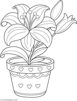 Printable coloring page of a lily growing in a decorated flower pot, ideal for children to color garden scenes at home.