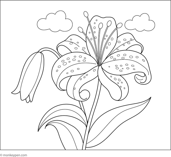 Free printable coloring page of a tiger lily with distinctive spots and broad petals, designed for children to explore patterns and colors.