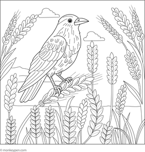 Free printable colouring page of a crow over a golden wheat field under a blue sky.