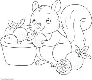 Illustration of a playful squirrel beside oranges, suitable for children's coloring activities.