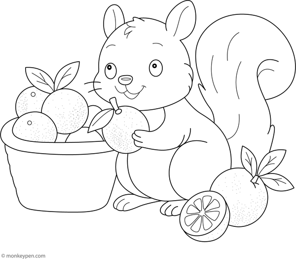 Illustration of a playful squirrel beside oranges, suitable for children's coloring activities.