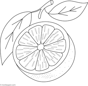 Cute smiling orange slice with seeds for children to color.

