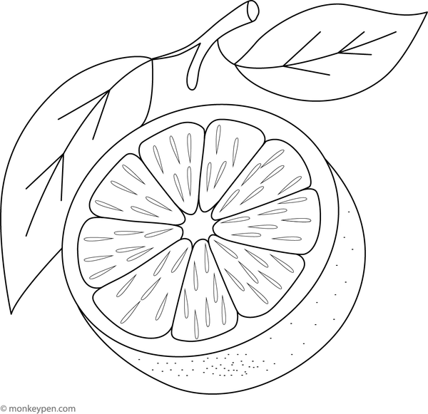 Cute smiling orange slice with seeds for children to color.

