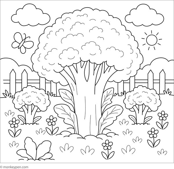 Coloring page featuring fresh broccoli growing in a garden bed with soil and foliage.
