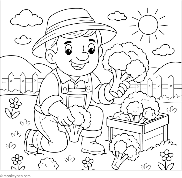Coloring page showing a smiling farmer harvesting broccoli from a garden.
