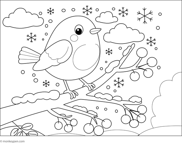 Robin perched on a snowy branch in winter, ready for kids to colour.
