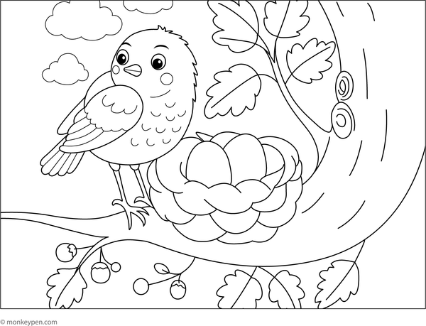 Robin sitting beside a cosy nest filled with twigs and leaves.
