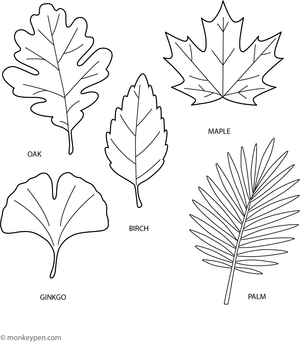 A printable coloring page featuring various leaf shapes, available for download to support children's learning and exploration of nature.  
