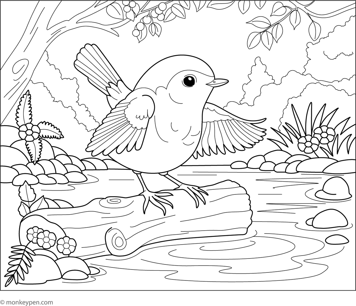Robin by a Pond | Free Coloring Pages