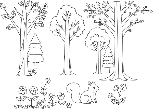 Woodland Scenes Coloring Page – fun and educational printable for children