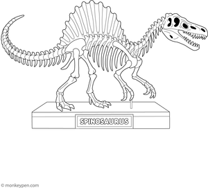 Coloring page of a Spinosaurus skeleton on display in a museum, with labeled bones.