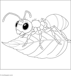 Leafcutter Ant Coloring Page – fun and educational printable for children