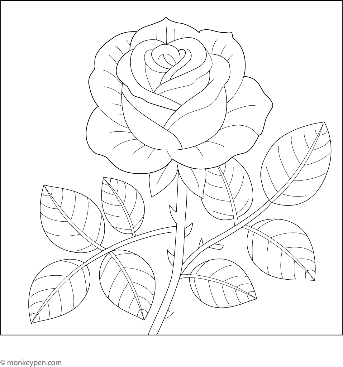 Rose Picture To Colour In