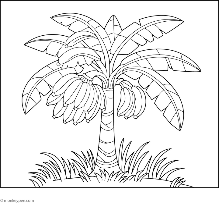 Downloadable Tree Coloring Book for Kids