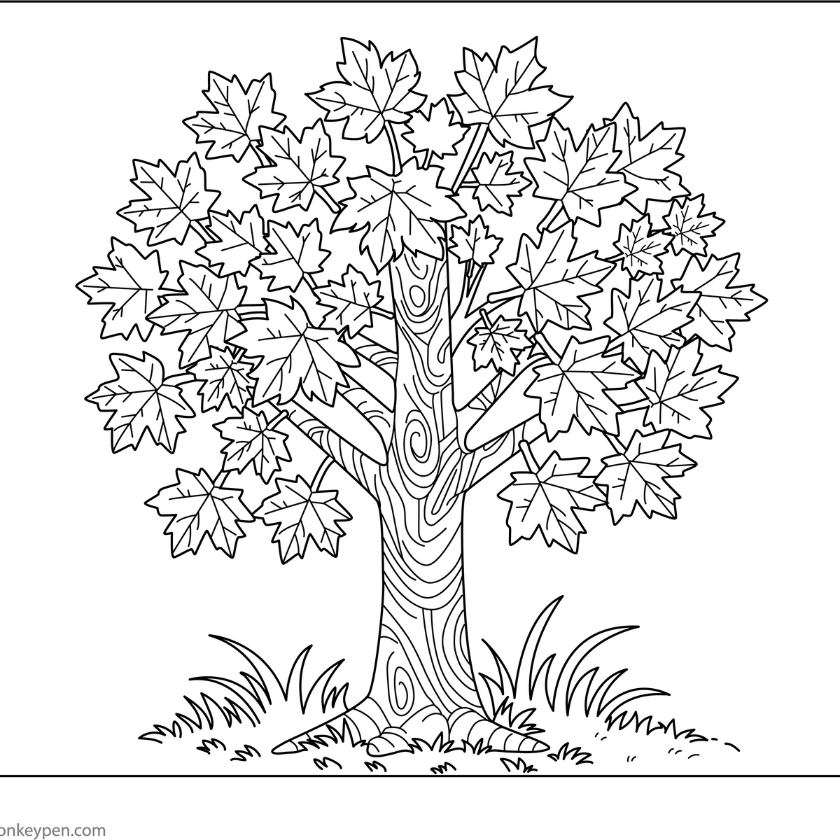 Maple Tree Coloring Page - Free Coloring Page Printable