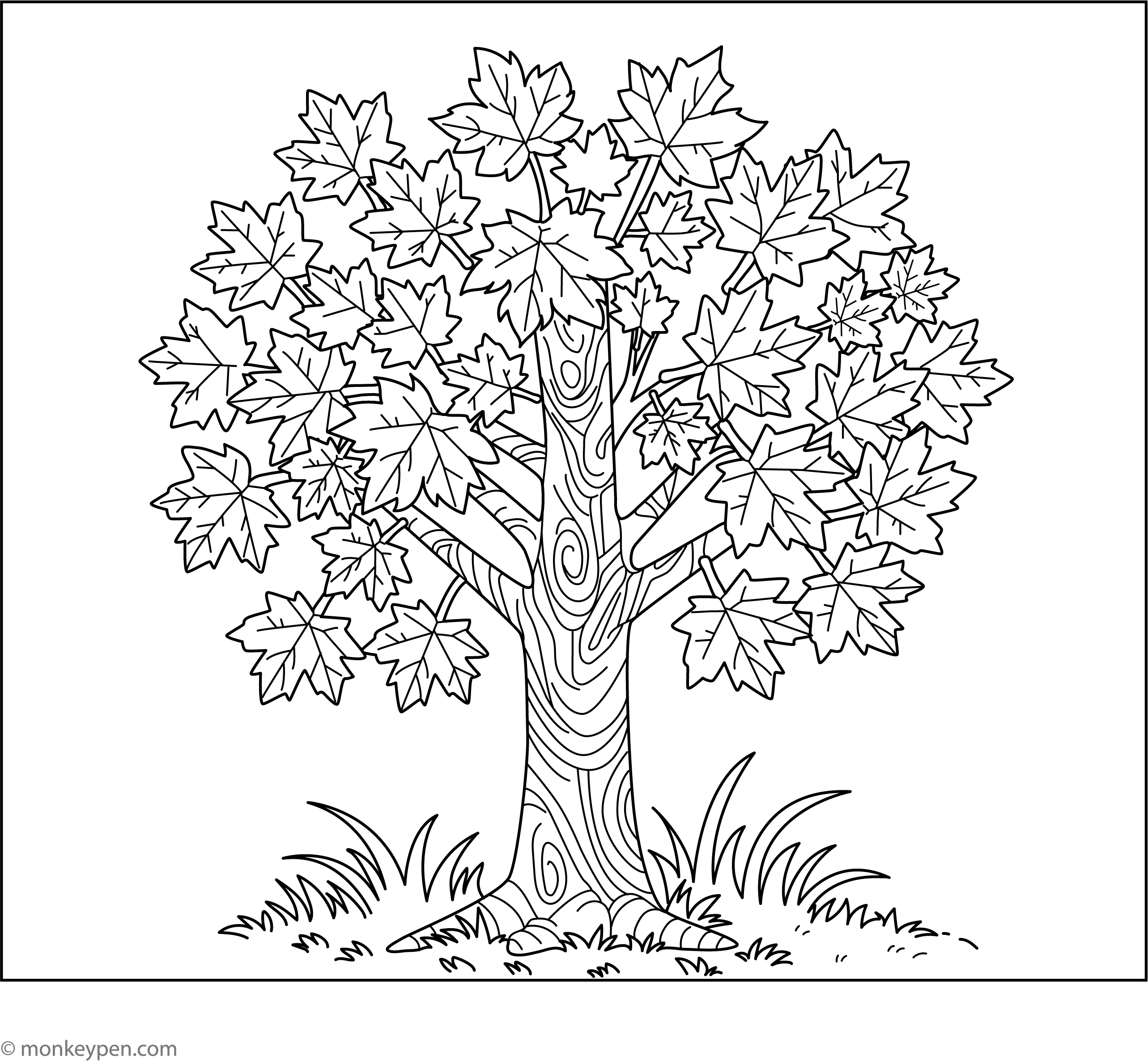 Coluring In Tree Tree Trunk Coloring Page Sketch Coloring Page
