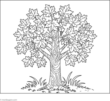 Maple Tree Coloring Page - Free Coloring Page Printable