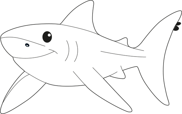 Shark coloring page – fun and educational printable for children
