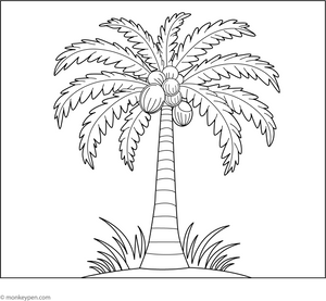 Coconut Tree Coloring Page