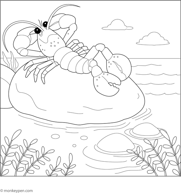 Lobster Relaxing on a Rock Coloring Page – fun and educational printable for children