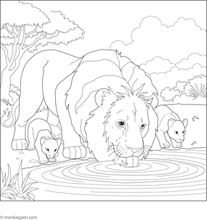 Lion Drinking Water Coloring Page