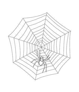 Spiderweb coloring page – printable animal drawing for children
