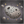 How to Draw an Asteroid – Step-by-Step Space Drawing for Kids