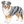 How to Draw an Australian Shepherd – Step-by-Step Dog Drawing for Kids