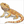 How to Draw a Bearded Dragon – Easy Step-by-Step Lizard Drawing for Kids