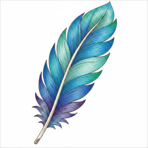 Cartoon-style feather drawing for children